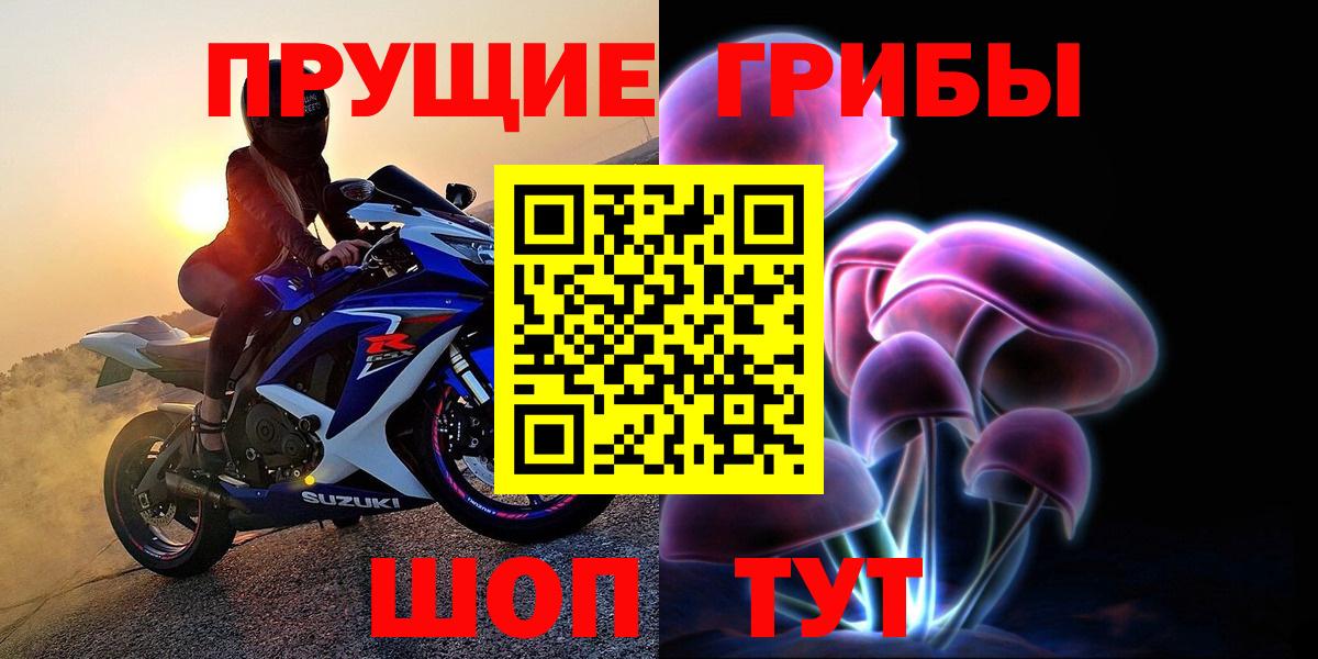 Чернушка  купить   Вход с VPN  Псилоцибиновые грибы Psilocybe 